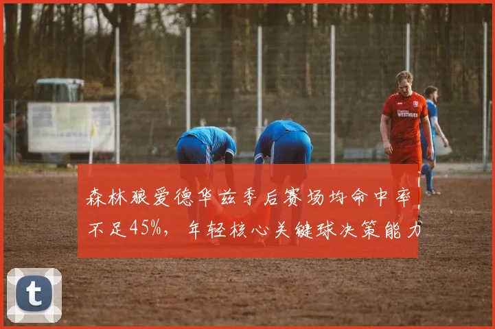 森林狼爱德华兹季后赛场均命中率不足45%，年轻核心关键球决策能力待检验